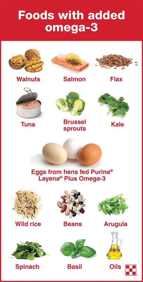 omega 3 rich vegetarian food